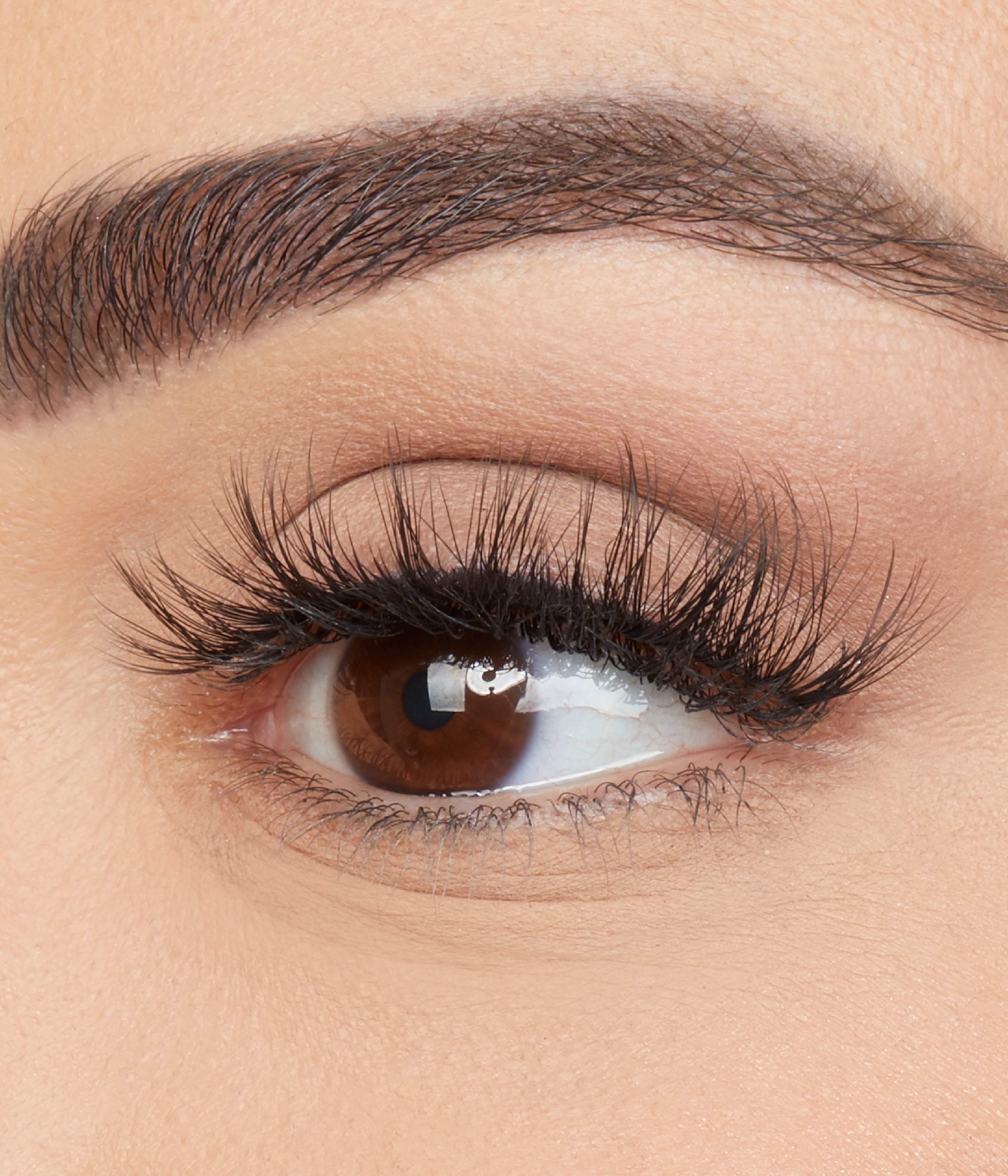 huda-beauty-hoodie-false-lashes-falsche-wimpern-1-paar image 3